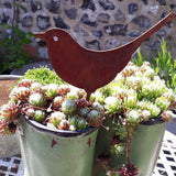 Rustic Rusty Birds