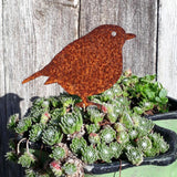 Rustic Rusty Birds